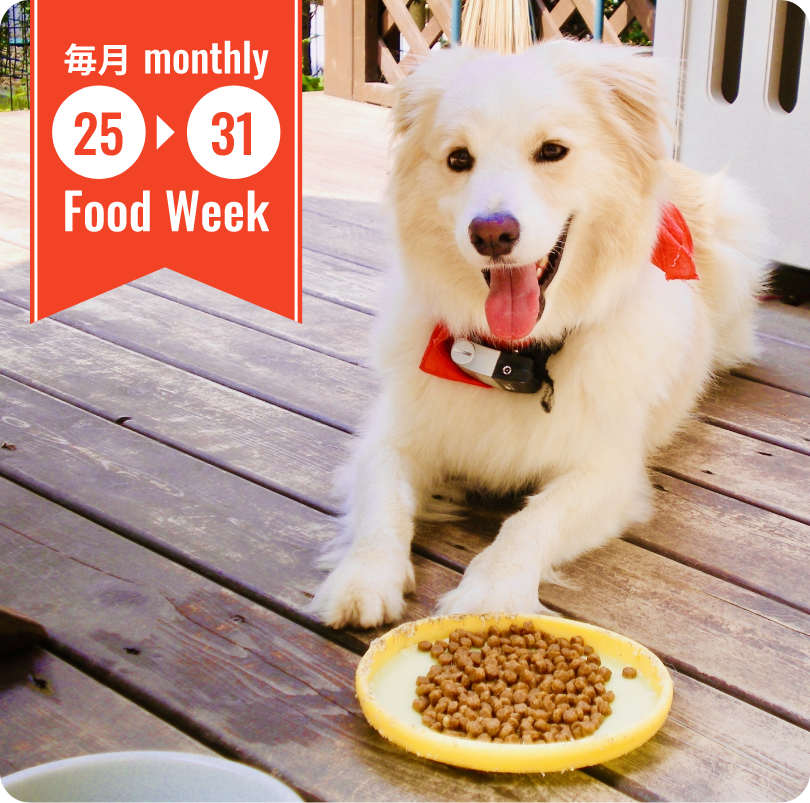 毎月25→31はフードウィーク