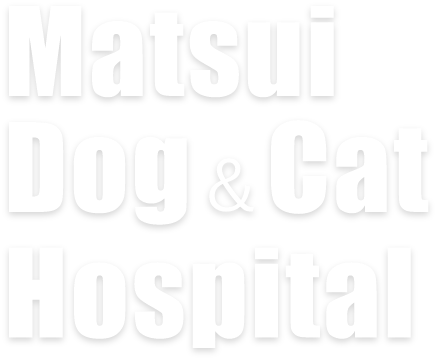 Matsui Dog&Cat Hospital