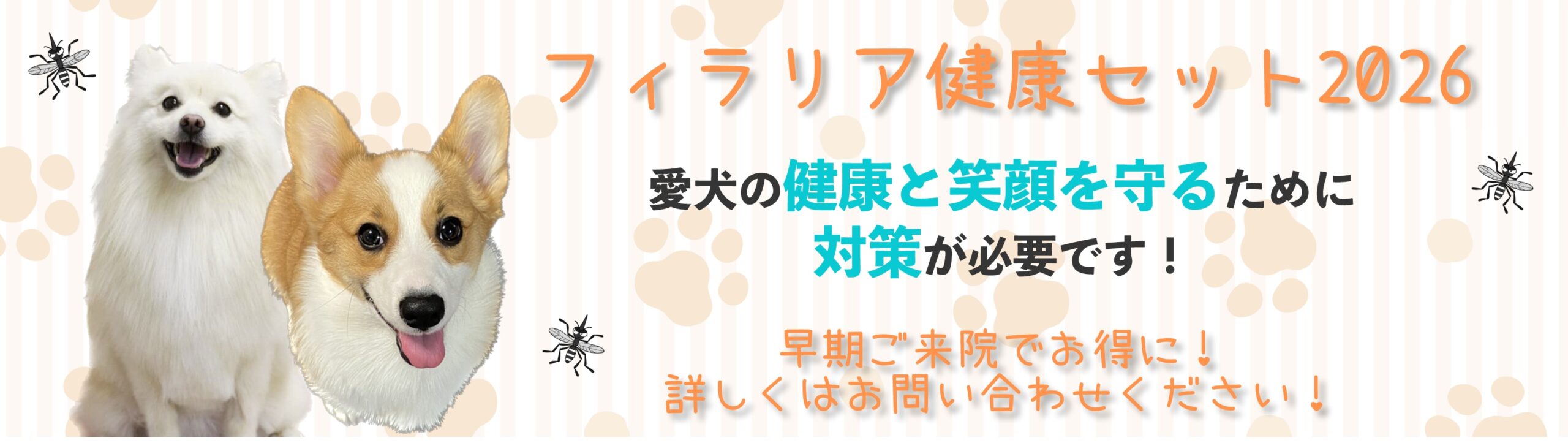 フィラリア健康セット