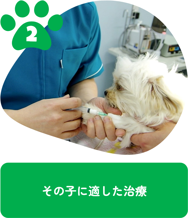 その子に適した治療