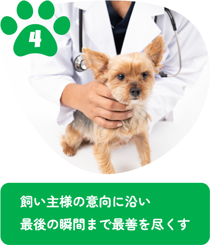 飼い主様の意向に沿い最後の瞬間まで最善を尽くす
