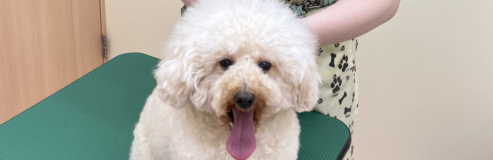 初めてご来院の方へ