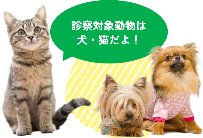 診察対象動物は犬・猫
